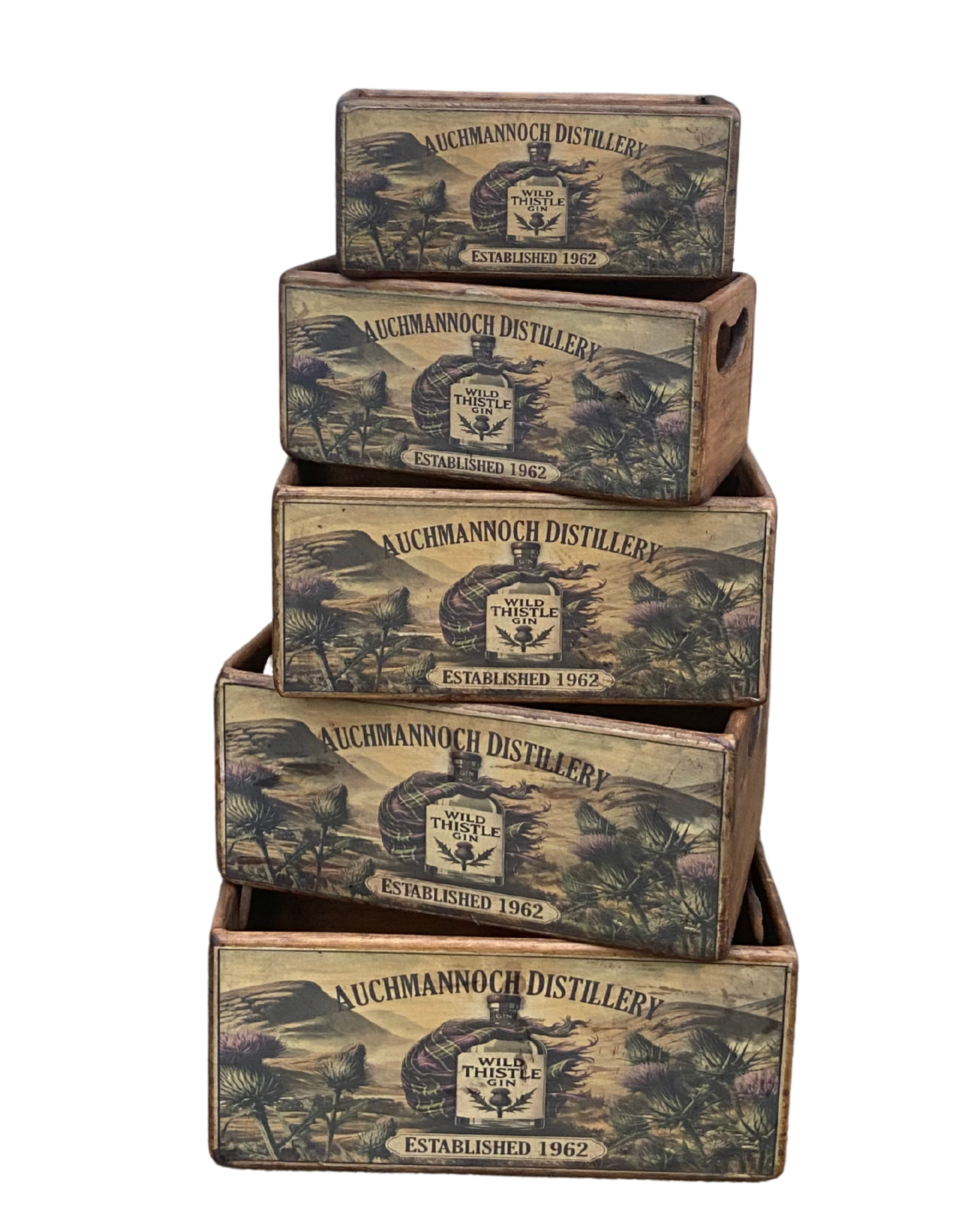 Wild Thistle Gin Set of 5 Wooden Storage Boxes