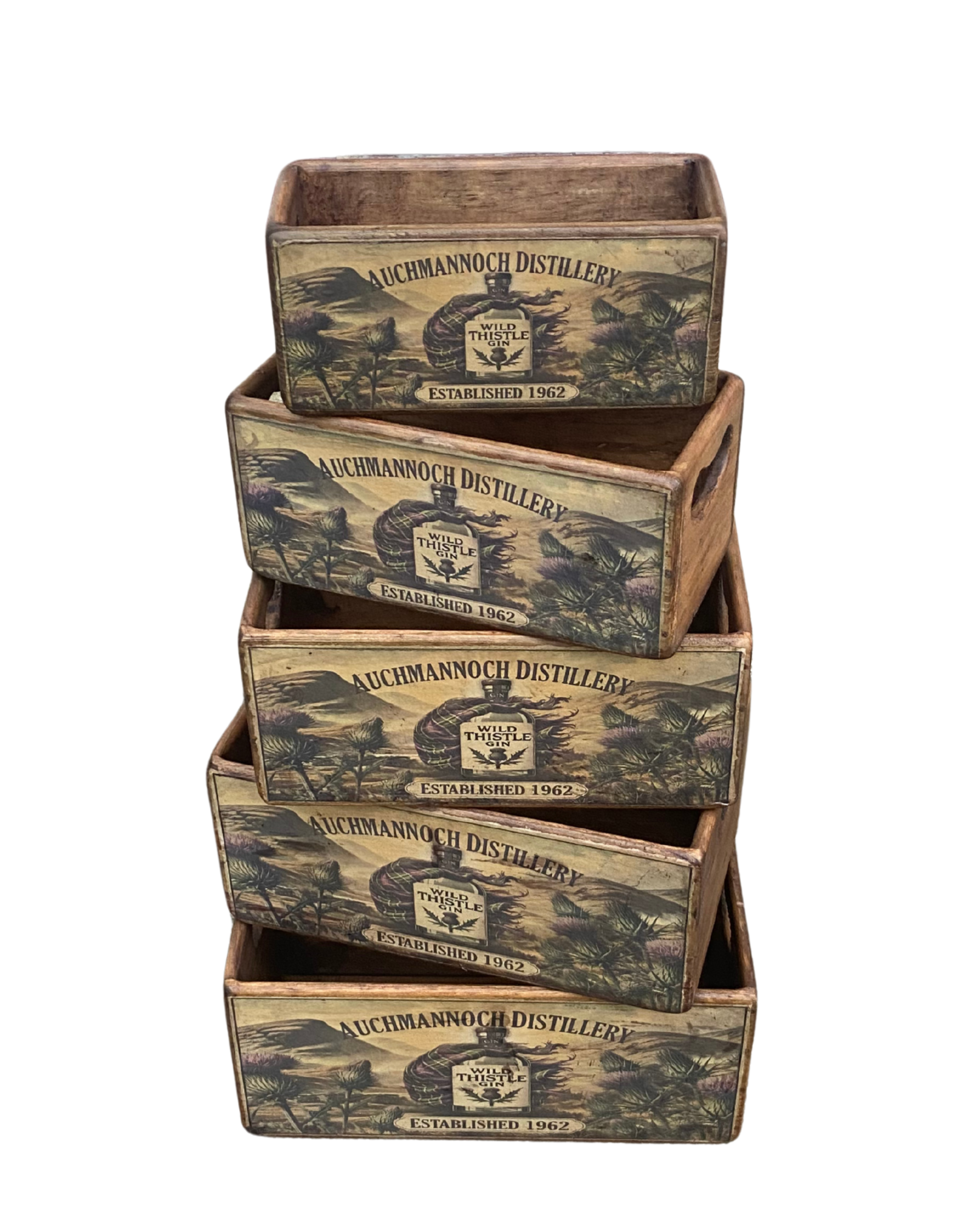 Wild Thistle Gin Set of 5 Wooden Storage Boxes