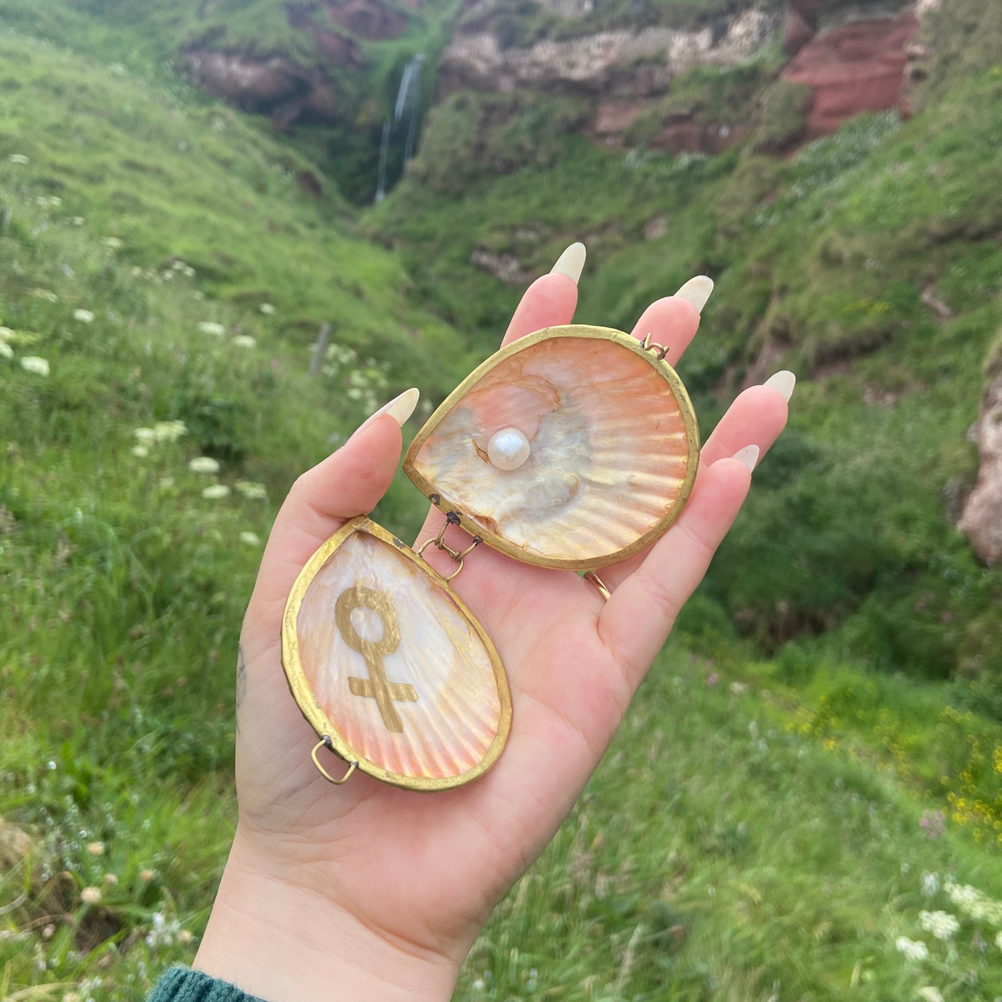 Venus Sea Shell Case with Pearl - Enchanting Ocean Treasure