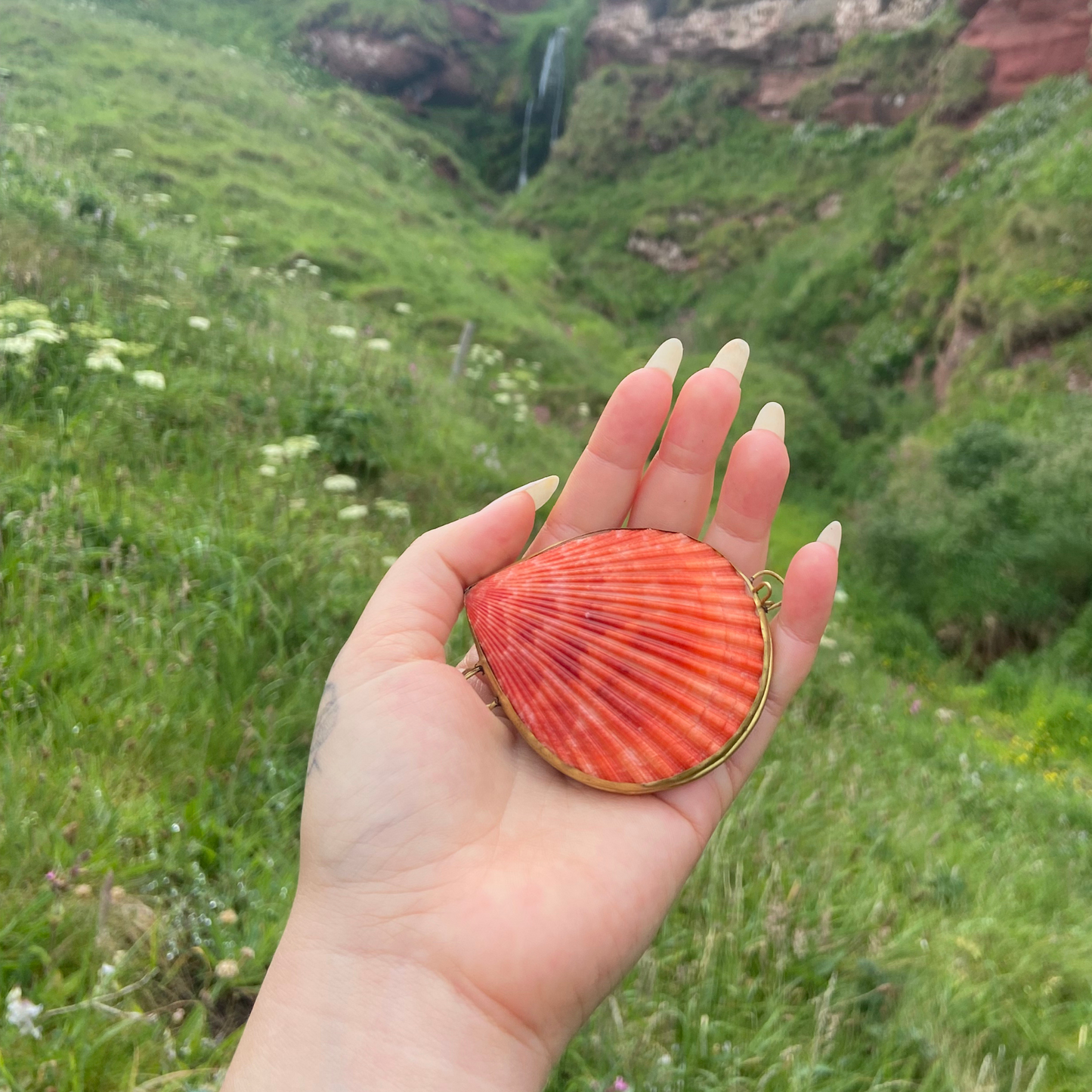 Venus Sea Shell Case with Pearl - Enchanting Ocean Treasure