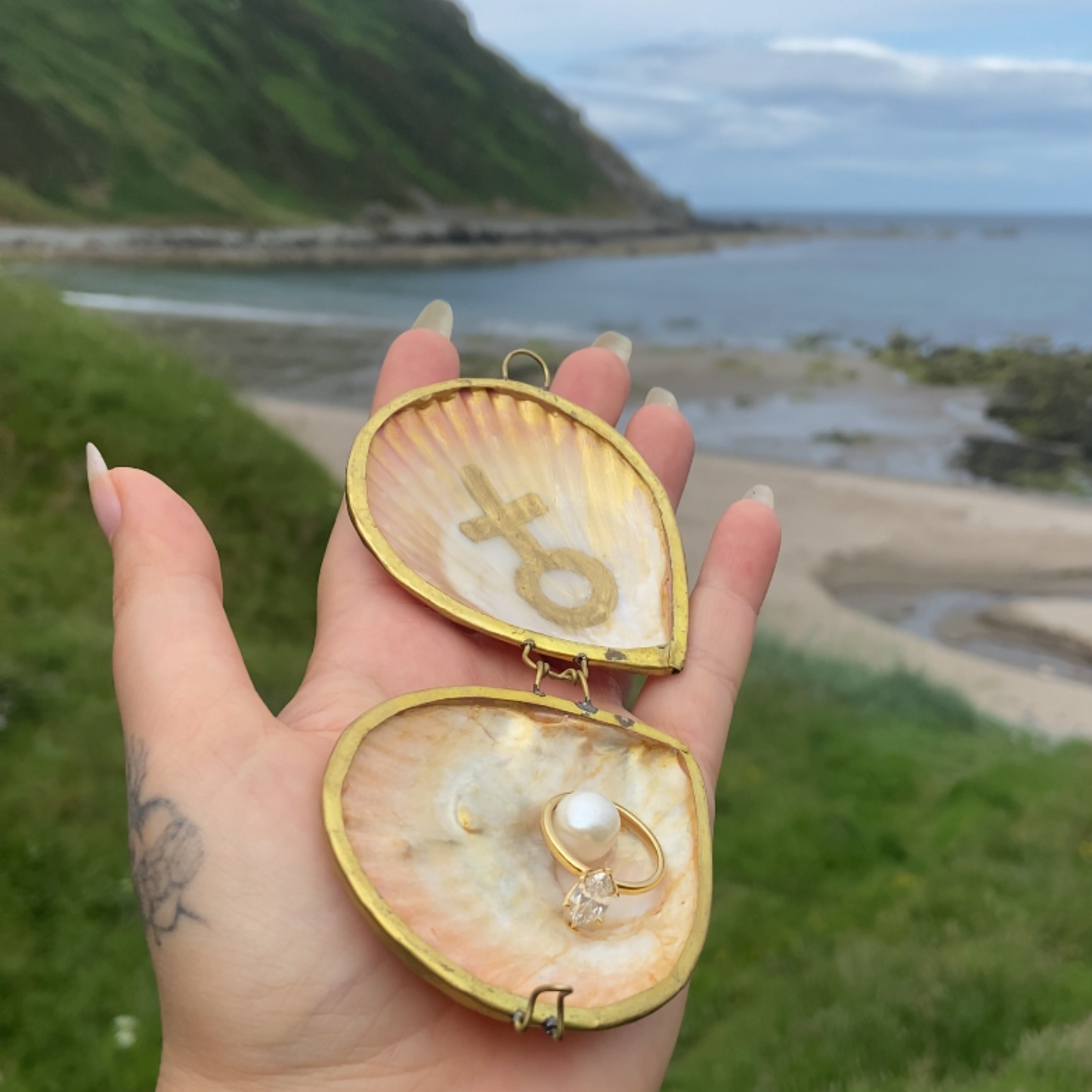 Venus Sea Shell Case with Pearl - Enchanting Ocean Treasure