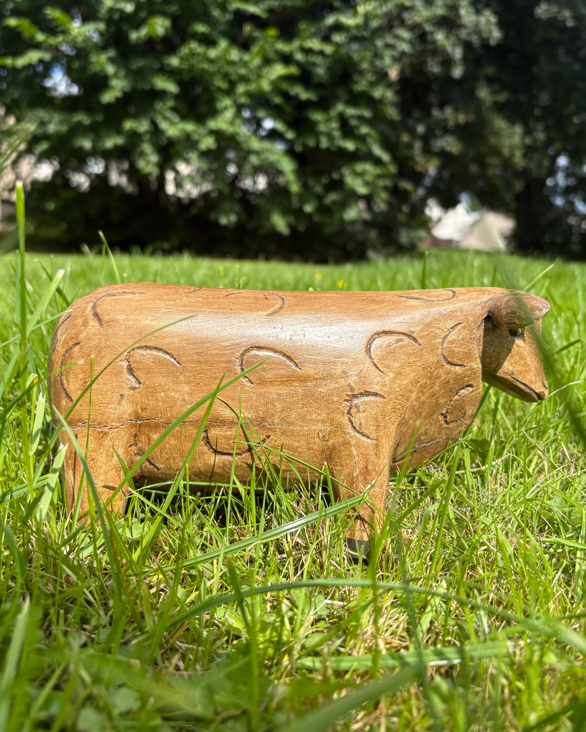 Bali Curly Sheep