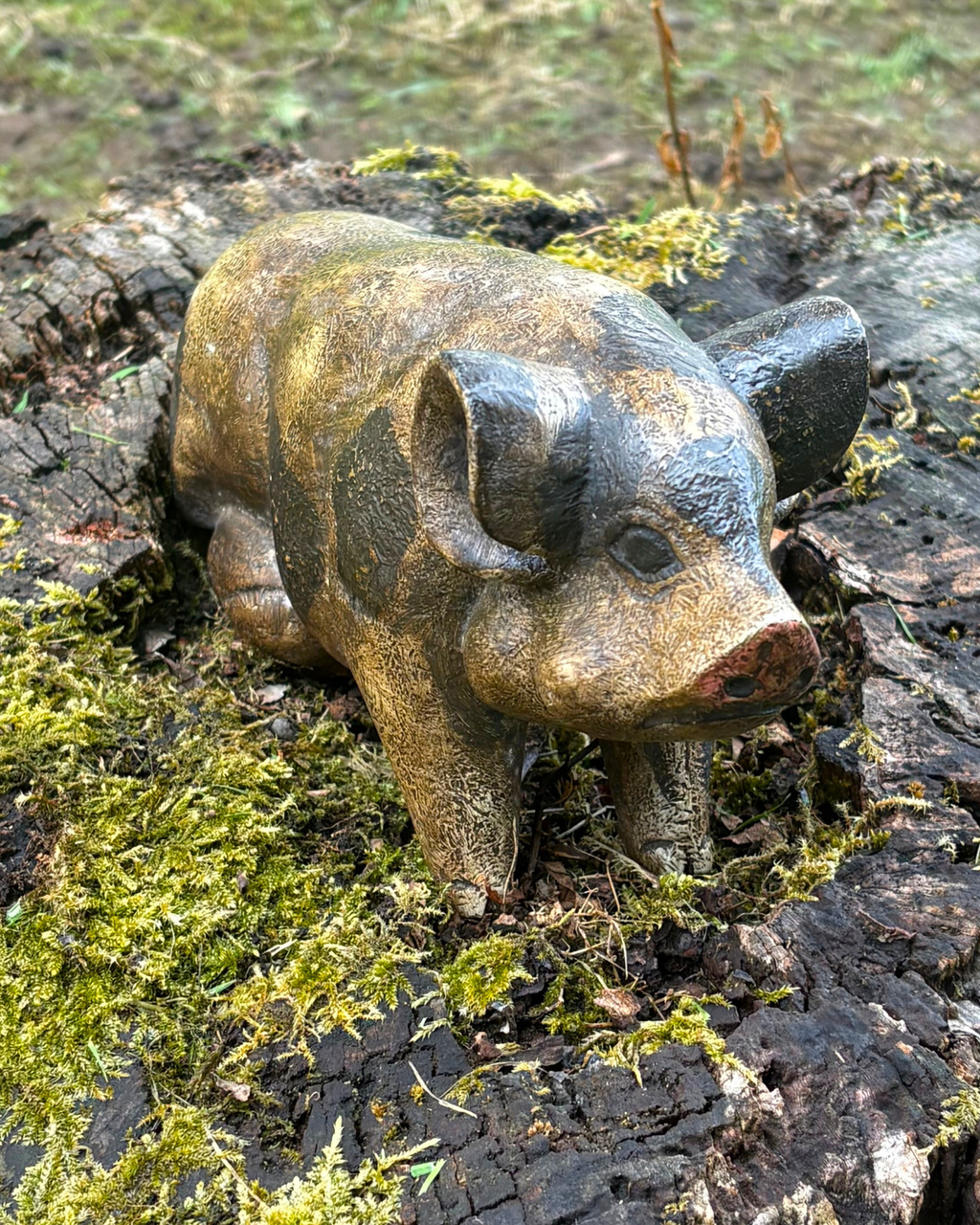 Bali Painted Pig