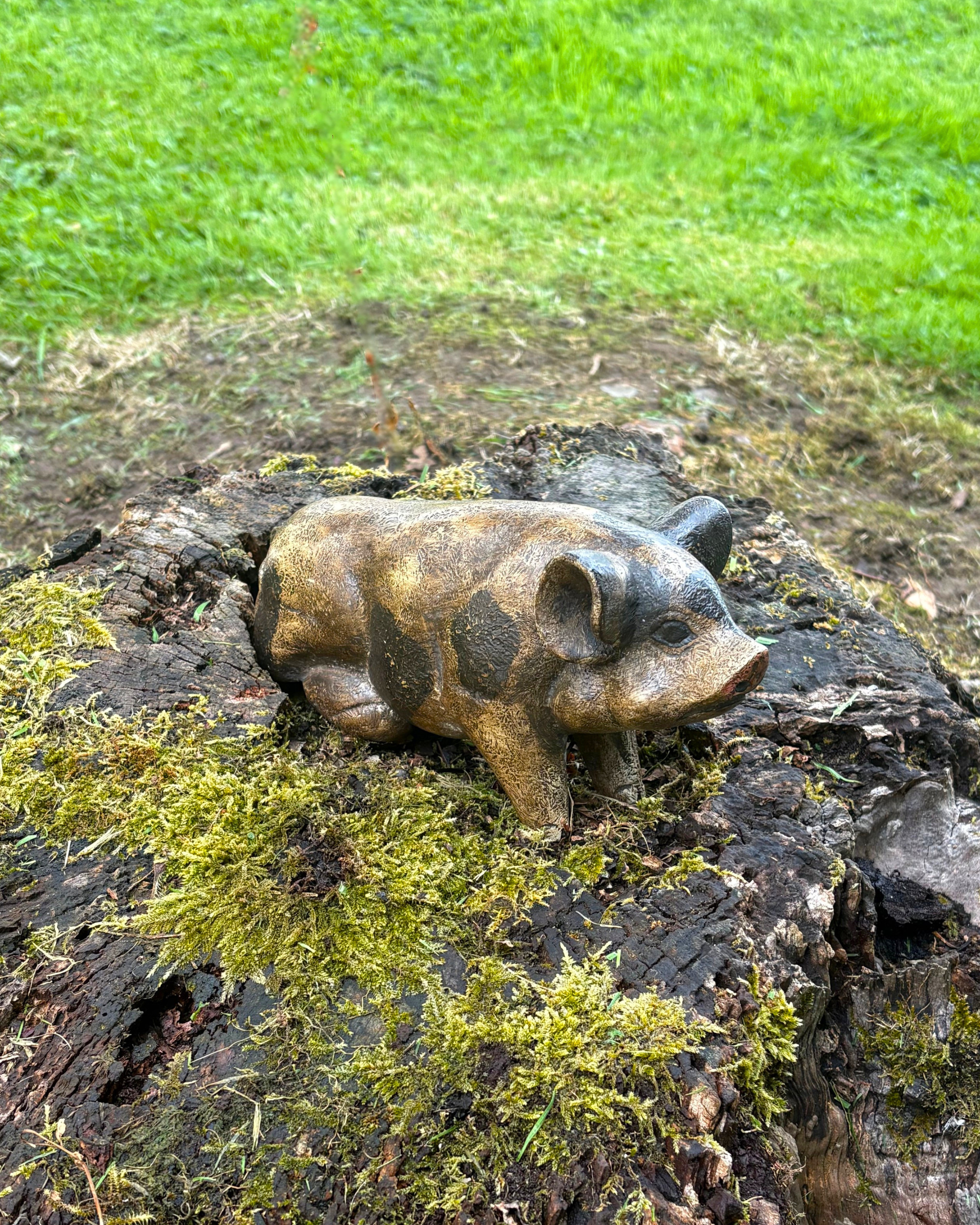 Bali Painted Pig