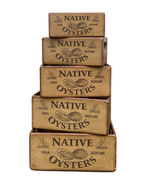 Oban Oysters Set of 5 Wooden Storage Boxes