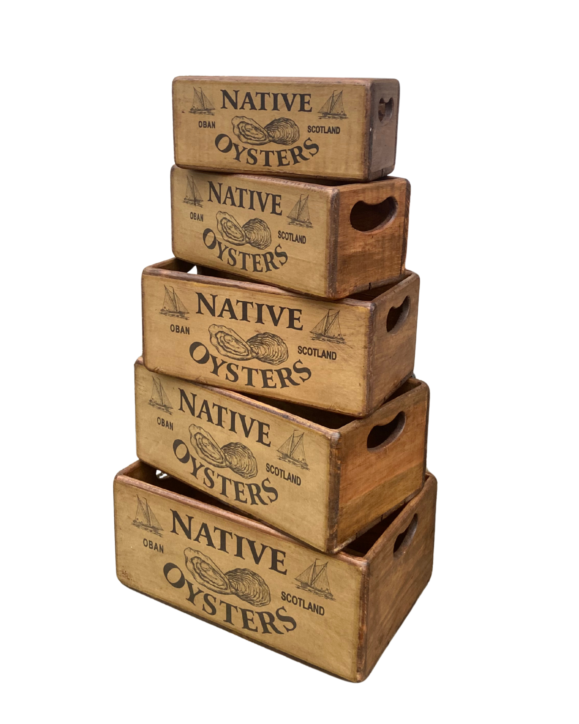 Oban Oysters Set of 5 Wooden Storage Boxes