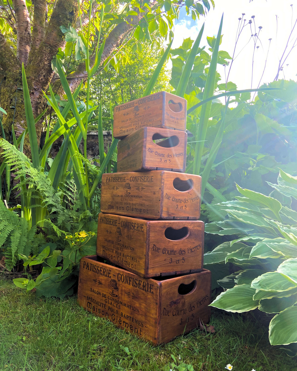 French Pâtisserie Set of 5 Wooden Storage Boxes