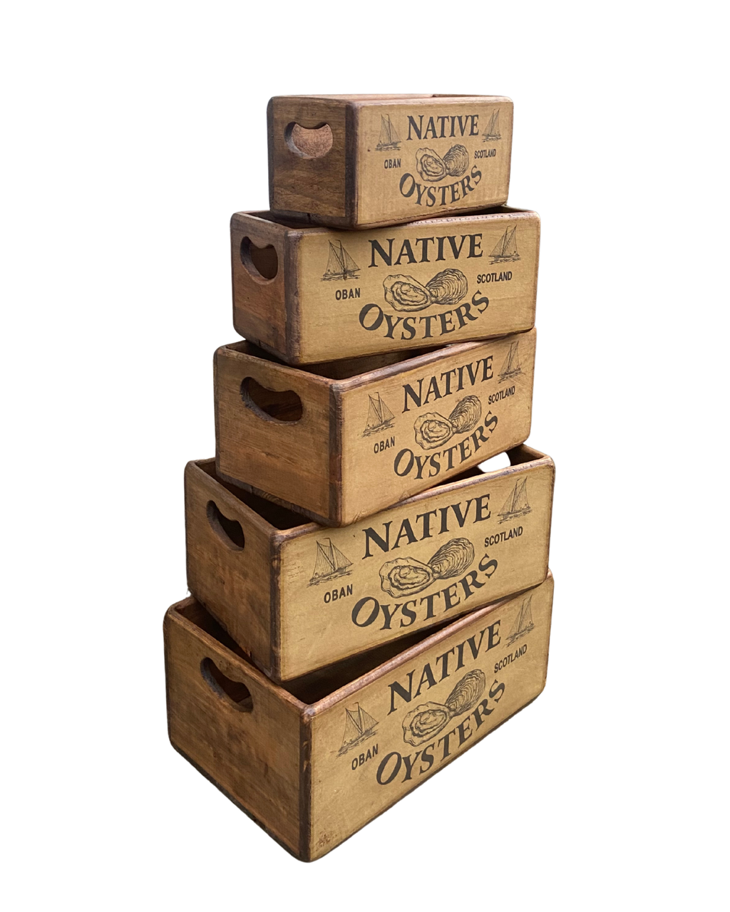 Oban Oysters Set of 5 Wooden Storage Boxes