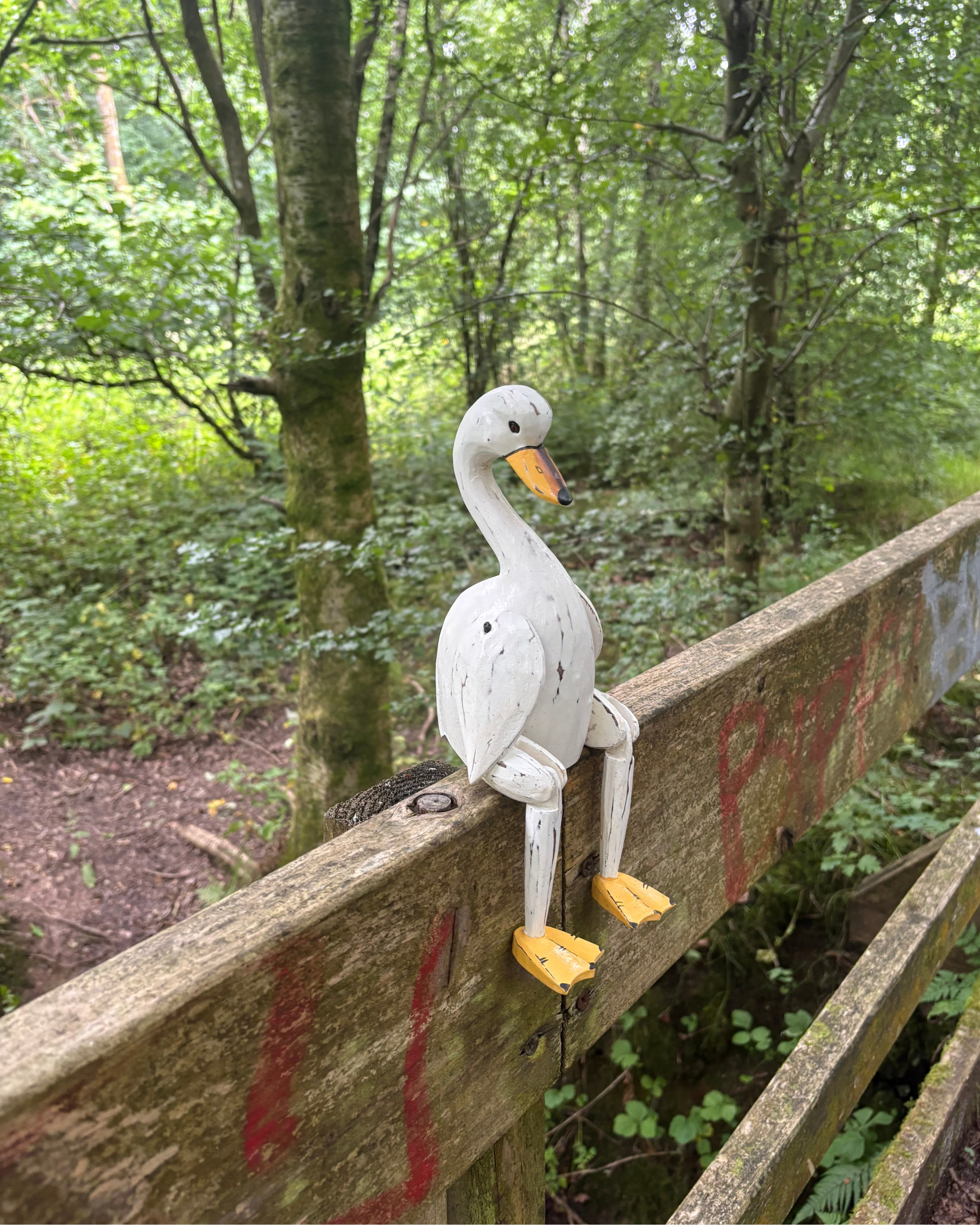 Articulated Swan - Medium