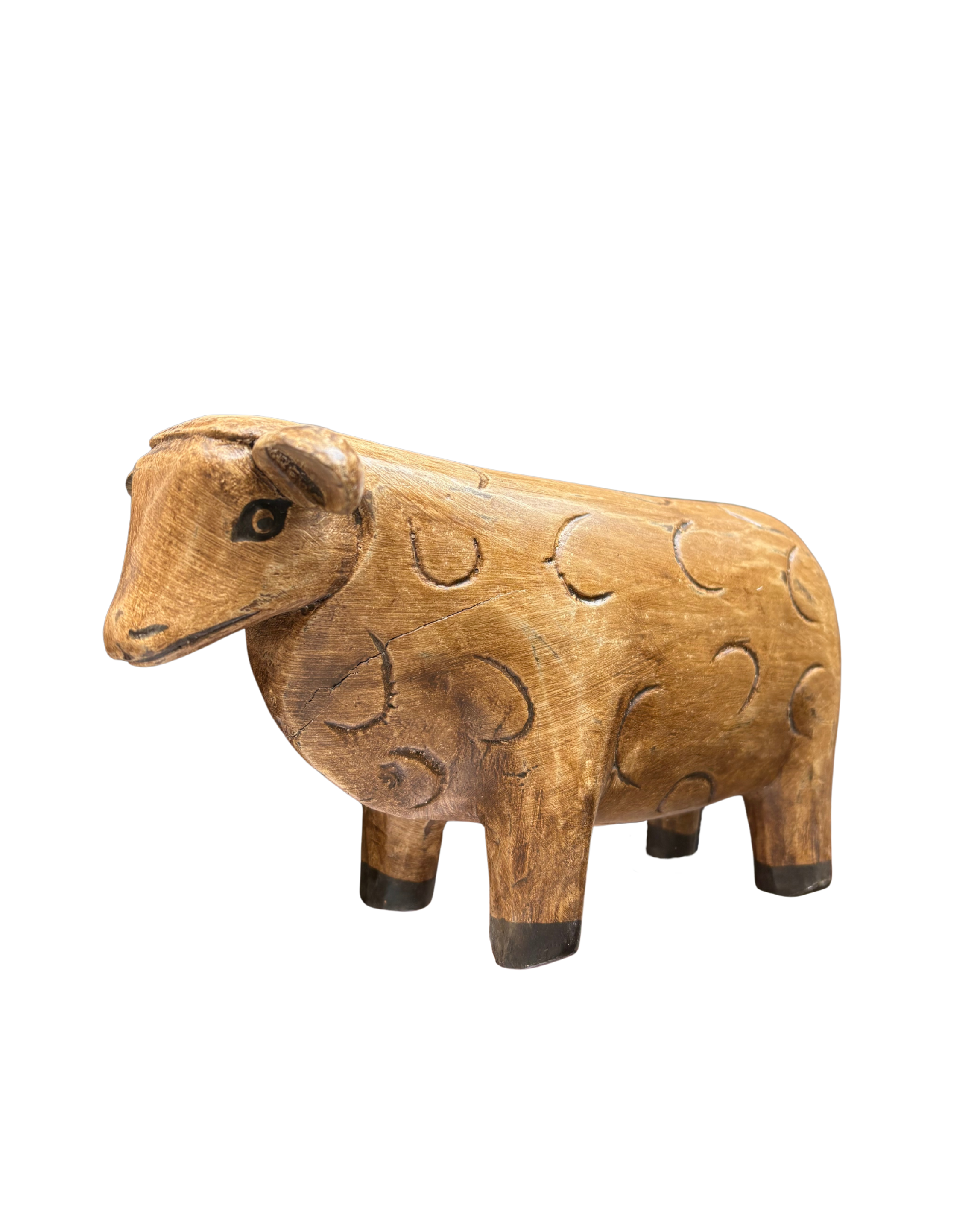 Bali Curly Sheep