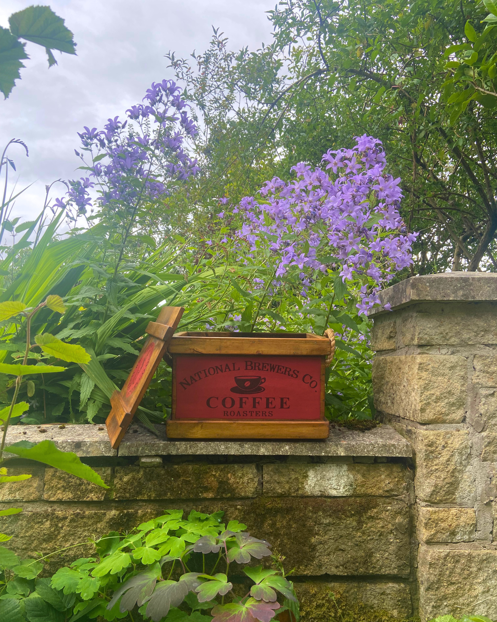 National Brewers Co. Small Coffee Crate