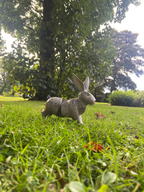 Articulated Bounding Rabbit