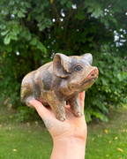 Bali Painted Pig