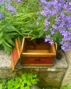 National Brewers Co. Coffee Small Wooden Crate