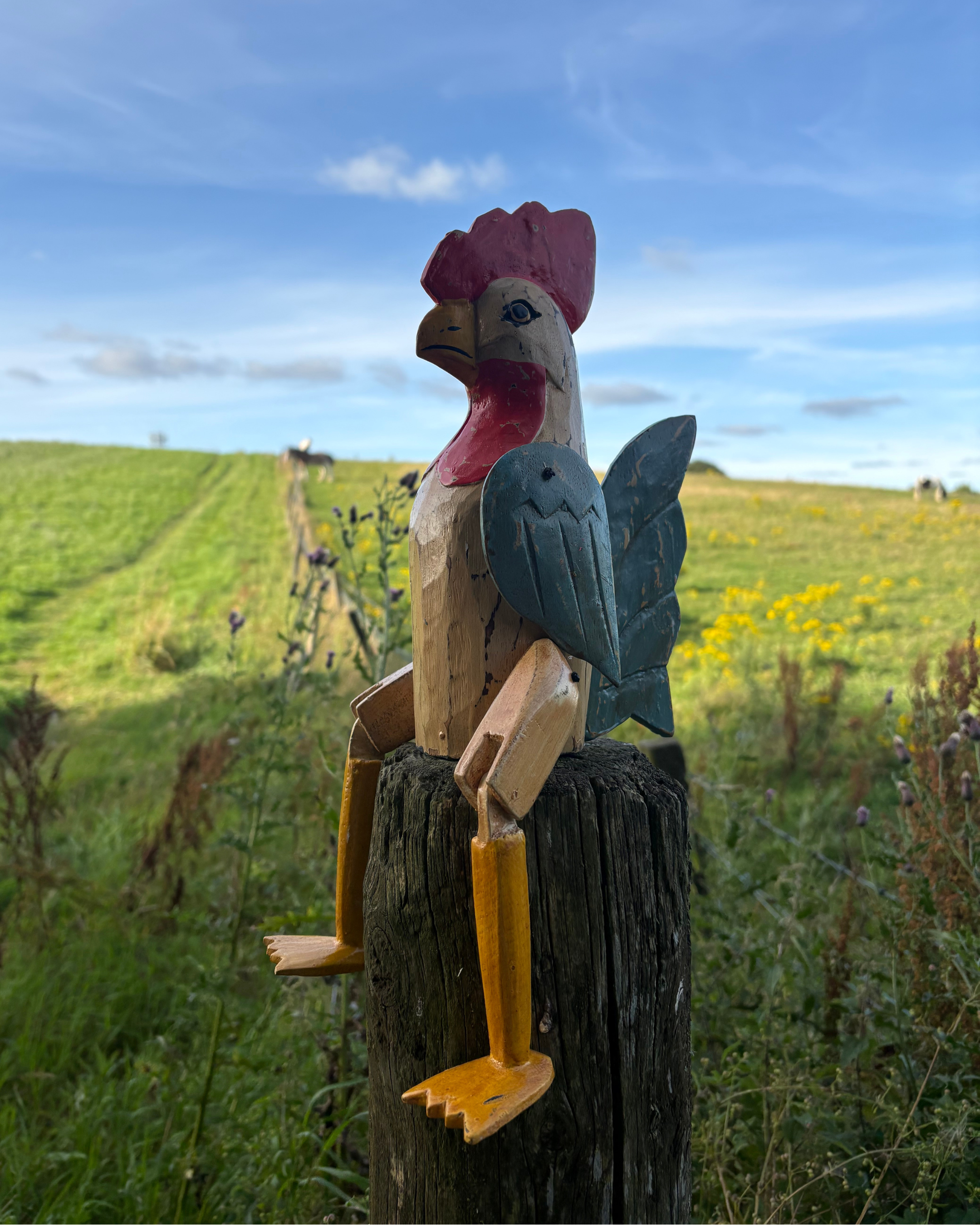 Bali Articulated Chicken - Medium