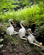 Articulated Swan - Small