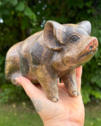 Bali Painted Pig