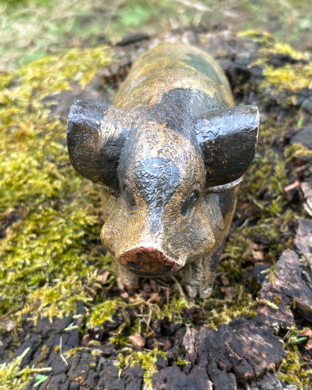 Bali Painted Pig