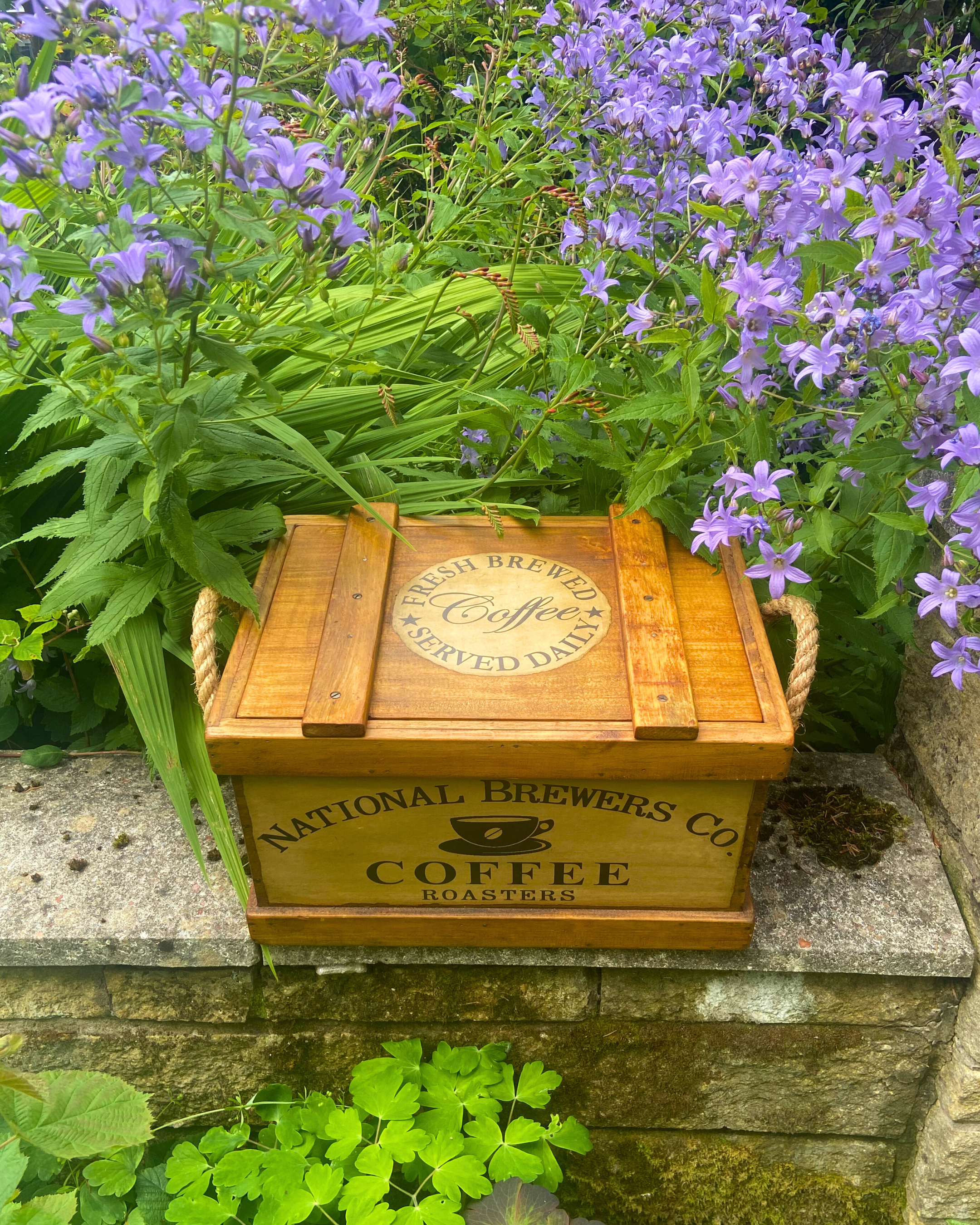 National Brewers Co. Medium Coffee Crate