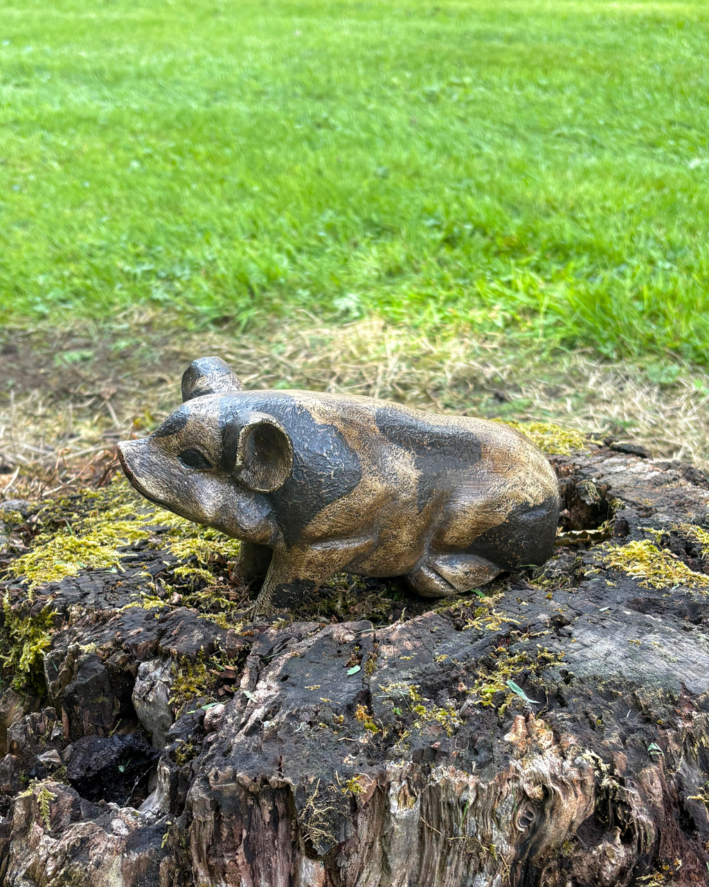 Bali Painted Pig