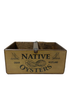 Native Oyster colour print wooden storage box in pine, large size