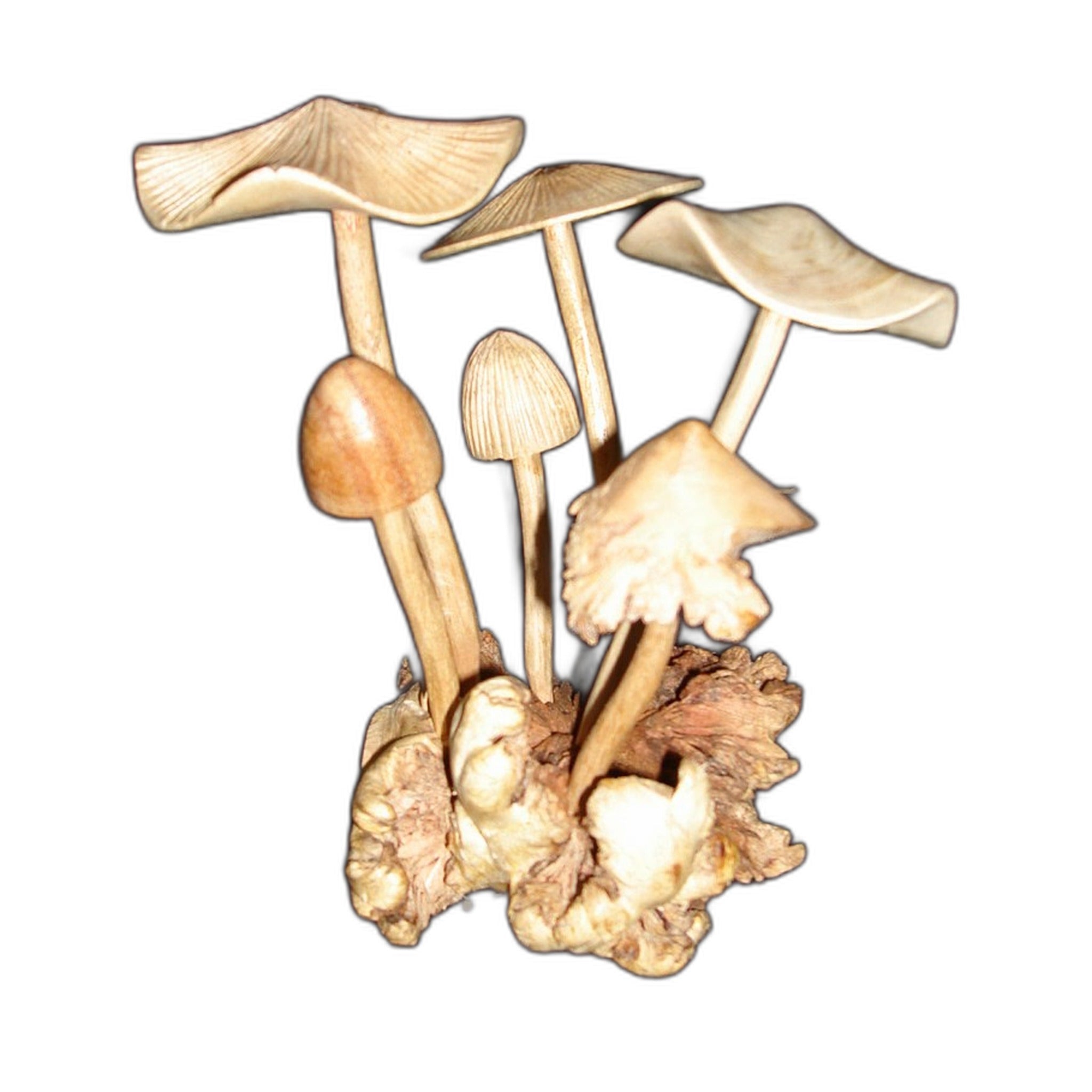 Bali handmade carved wooden mushroom, colourful decorative garden ornament