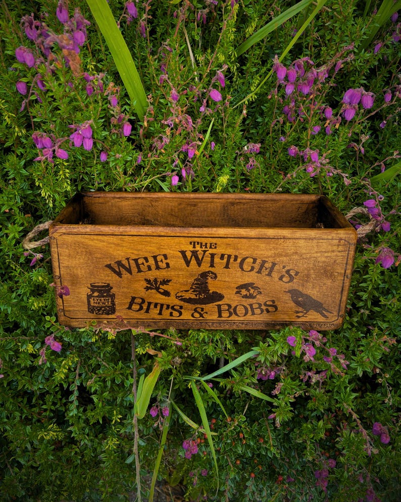 The Wee Witch's Bits & Bobs box among foliage