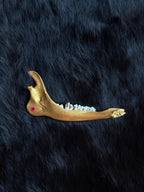Muntjac deer jaw bone gold 11cm