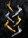 Muntjac deer jaw bones gold and silver group